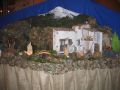 IMG_9890.jpg